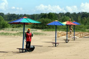 В Ленобласти могут появиться частные пляжи и парки