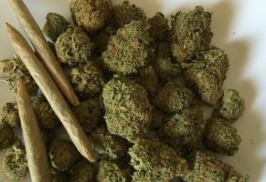 марихуана трава травка наркотики