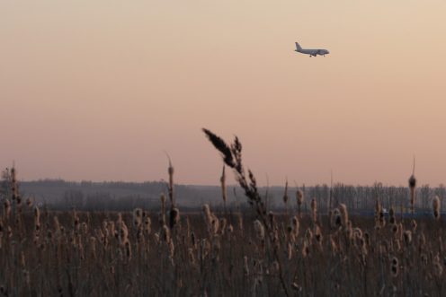 СМИ: версия о теракте на борту Ту-154 не подтверждается