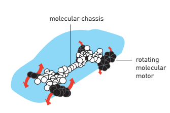 Нобелевскую премию по химии присудили за синтез молекулярных машин