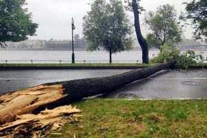  �������� ����������� 300 