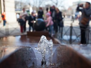 фото: Андрей Куликов / ИА "Диалог"