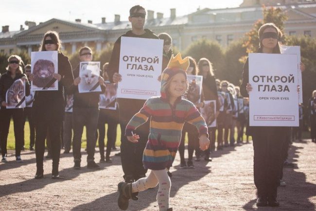 зоозащитники на марсовом животные не одежда