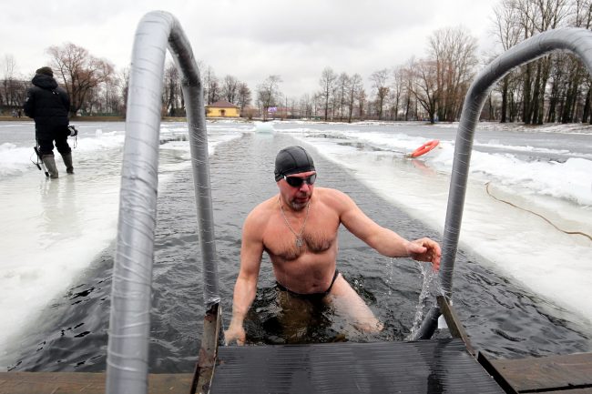 морж купание плавание холодная вода