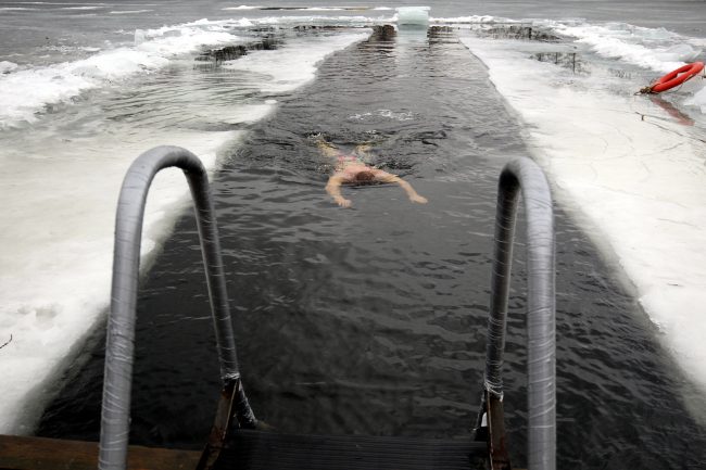 морж купание плавание холодная вода