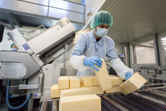 невские сыры фасовка производство сыр предприятие пищевая промышленность