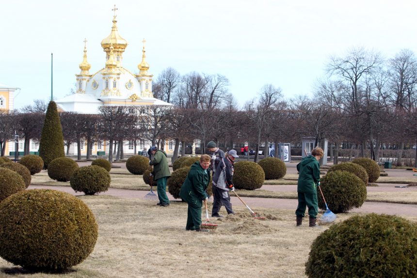 гмз петергоф подготовка к сезону