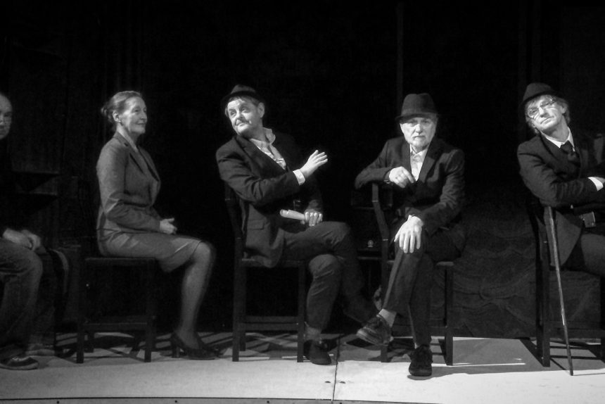 носороги тюз люди на стульях