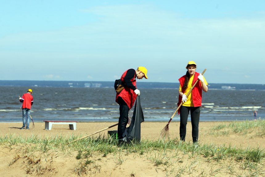 дубковский пляж сестрорецк уборка мусора дворники финский залив море