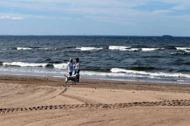 лето пляж ласковый море волны финский залив солнечное девушки с собакой