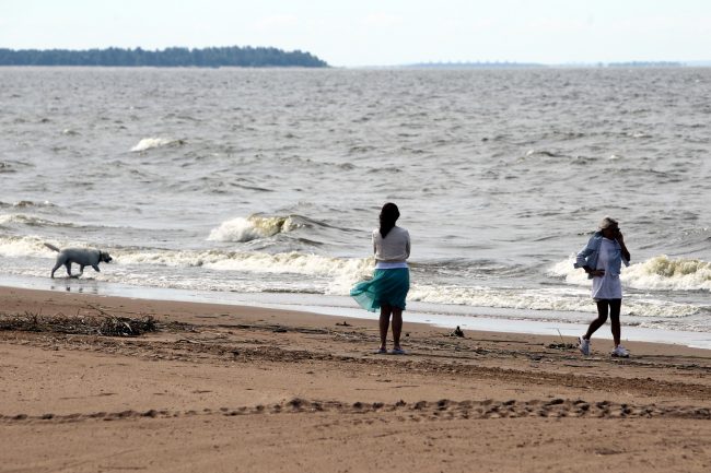 лето пляж ласковый море волны финский залив солнечное девушки с собакой