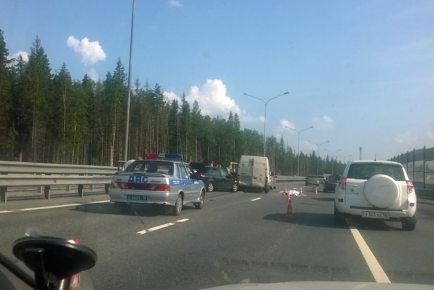 дпс новоприозерское шоссе труп сбили