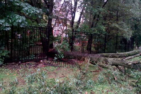 фото из группы "ДТП и ЧП" "ВКонтакте"