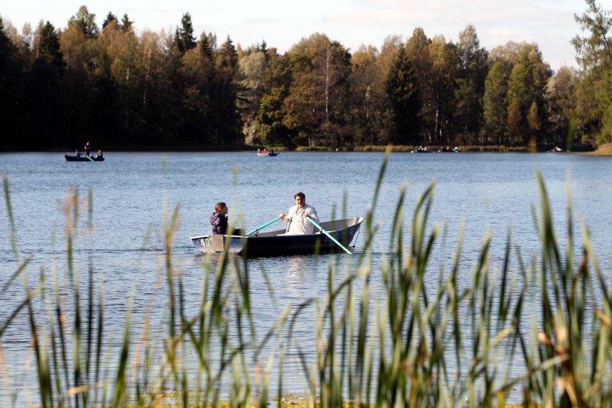 гатчинский парк белое озеро гребные лодки