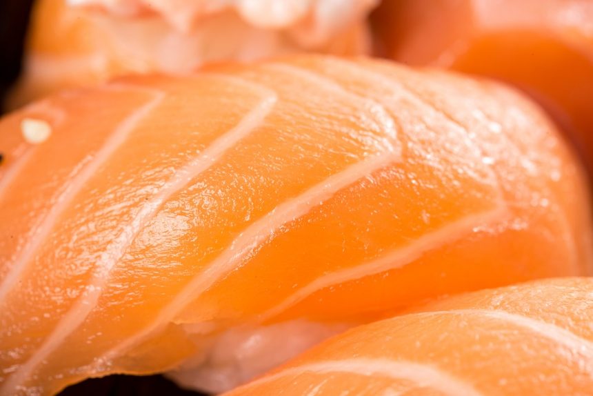 суши рыба лосось япония