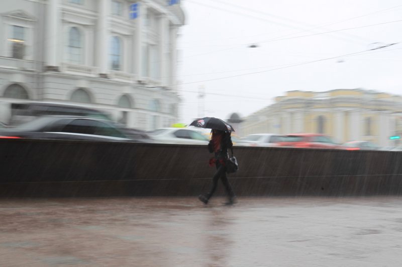 дождь зонтики невский проспект