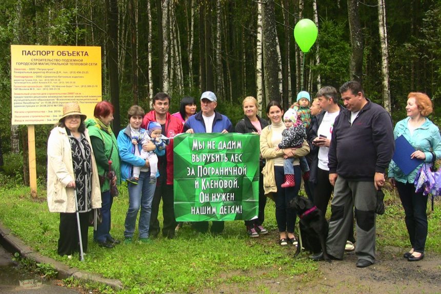 сертолово народный сход против вырубки леса