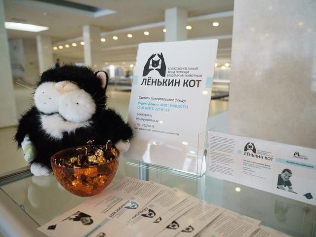 Ленькин кот
