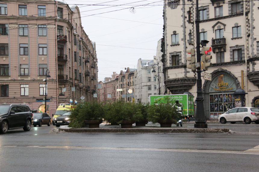 елки ели
