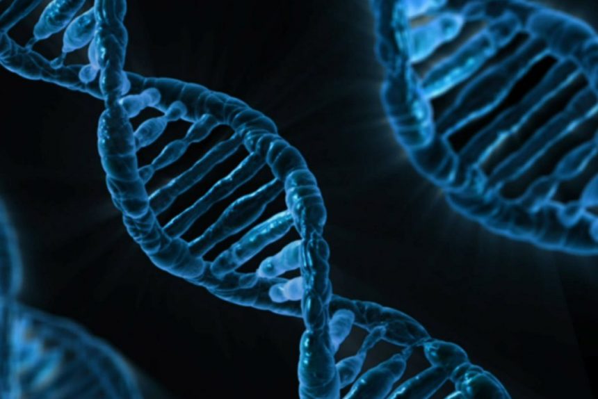 днк гены геном биология наука