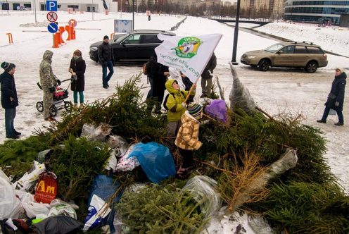 фото предоставлено организаторами акции "Ёлки, палки, пять бизонов"