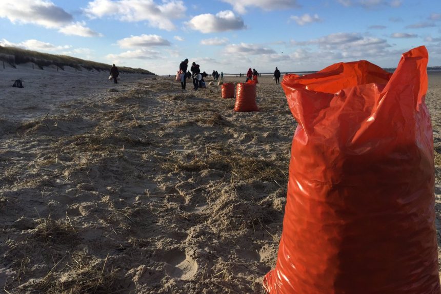 остров лангеог германия уборка пляжа экология