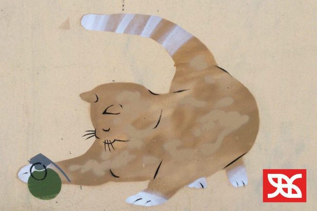 котики-защитники граффити движения явь