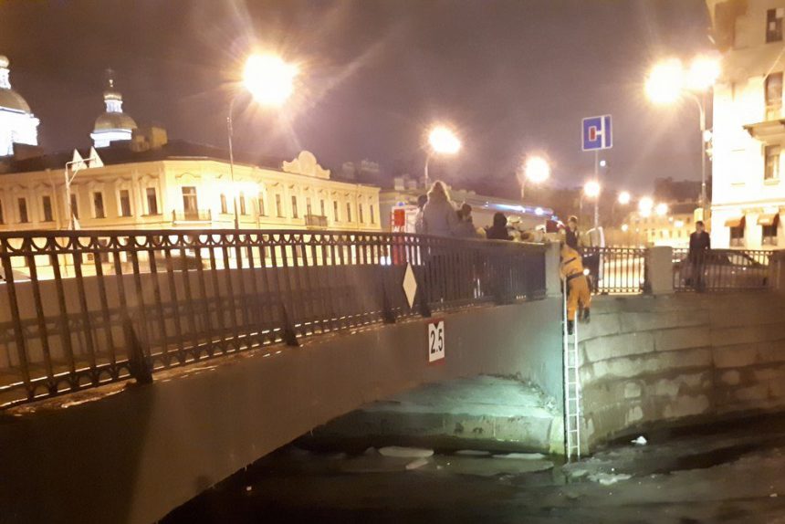 МЧС спасает кота