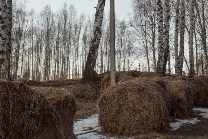 Скамейка блока в шуваловском парке