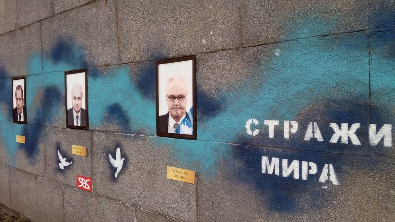 движение явь виталий чуркин постпред в оон акция стражи мира