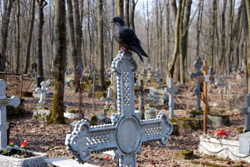 смоленское кладбище могила ворон