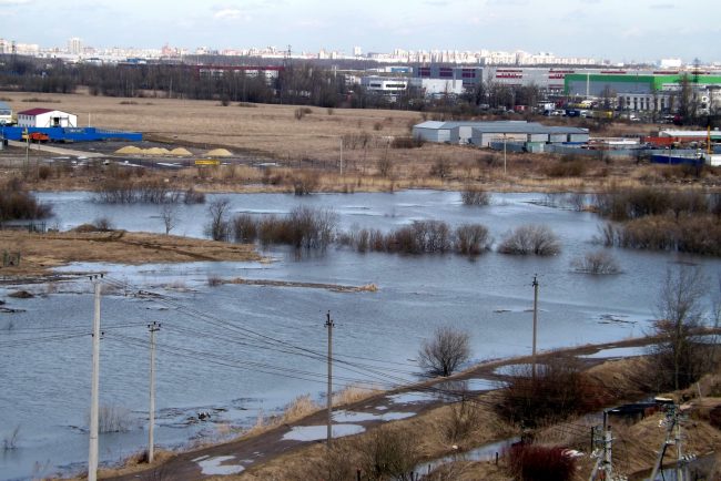 паводок наводнение затопление пушкинский район посёлок ленсоветовский