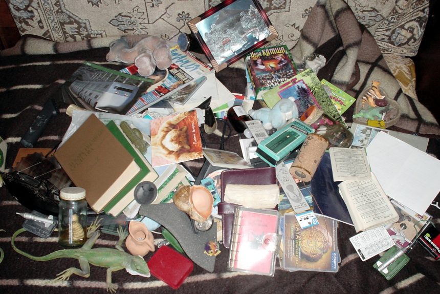 беспорядок ненужные вещи книги игрушки ящерицы