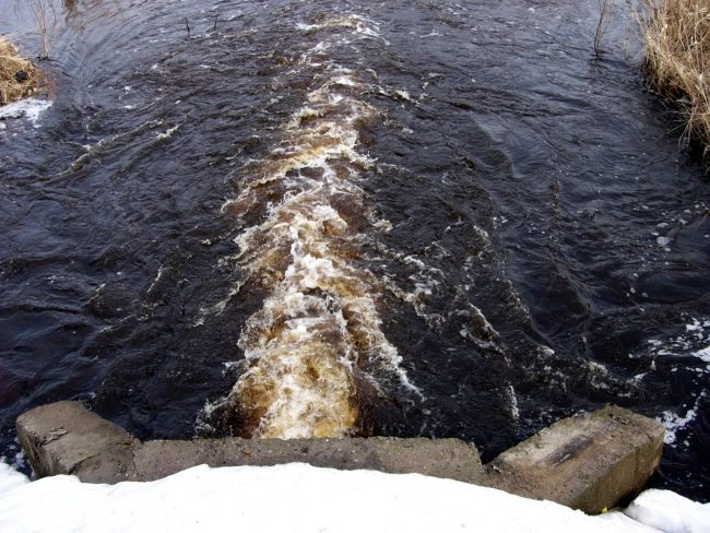 В Тихвине уровень воды в реке поднялся выше опасной отметки