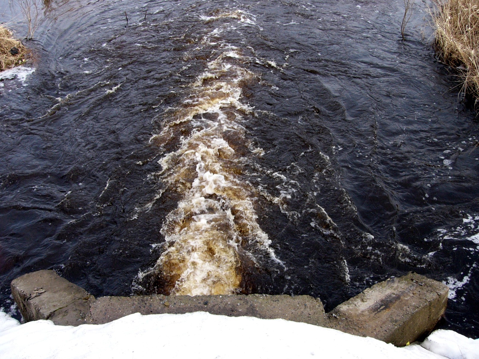 вода река Ленинградская область