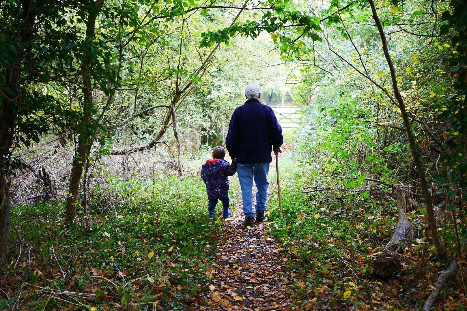 Дед с внуком гуляют в лесу