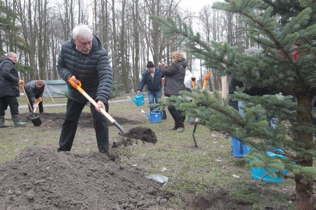 Полтавченко принял участие в общегородском субботнике и посадил ель
