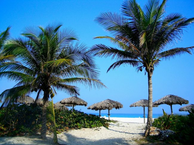 счастье пальмы пляж баунти