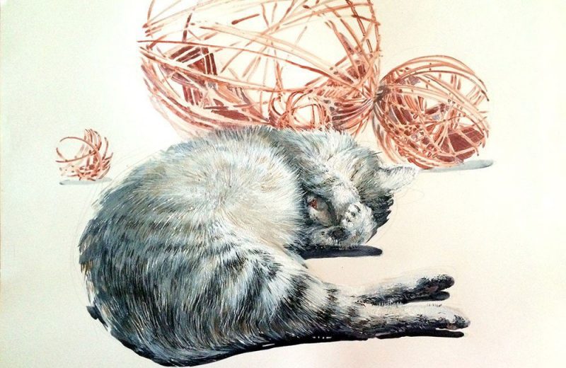 кошка рисунок