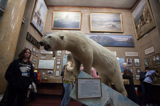 Ночь музеев 2017 Музей Арктики и Антарктики белый медведь чучело