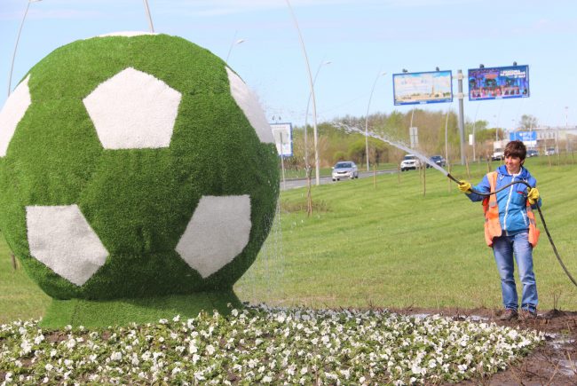 футбольный мяч цветник