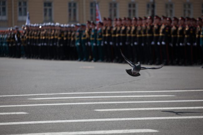 день победы 2017 парад