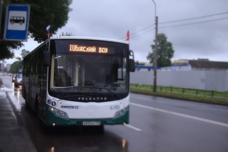 автобус флаг остановка 106