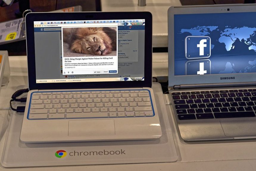 компьютер фейсбук facebook