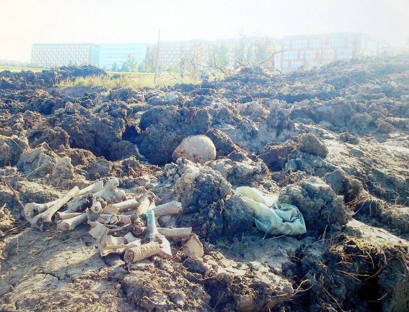 вандализм строительство братская могила советских солдат Пулково кости останки черепа