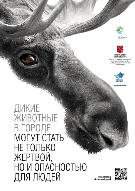 Poster_animal_protection_A3_3