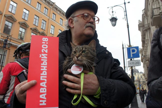 акция протеста забастовка избирателей сторонники Навального оппозиция политика кот кошка