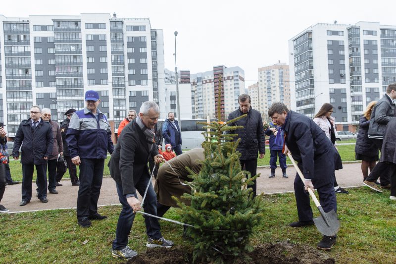 Аллея Победы посадка деревьев