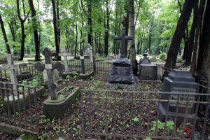 Новодевичье кладбище могилы захоронения