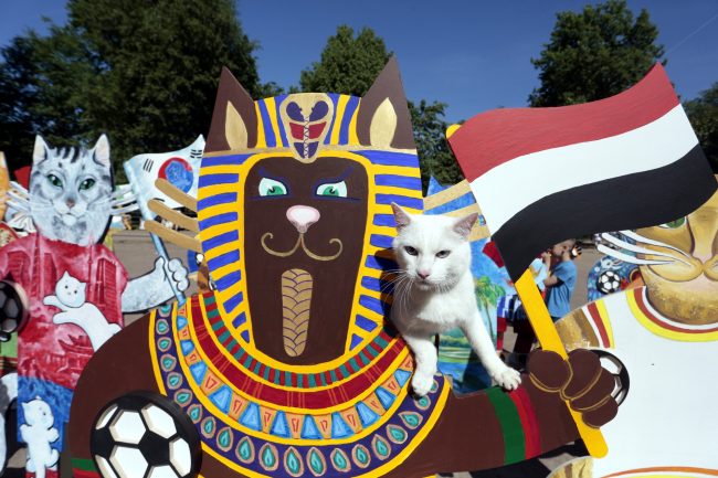 расписные коты к Чемпионату мира по футболу 2018 кот Ахилл